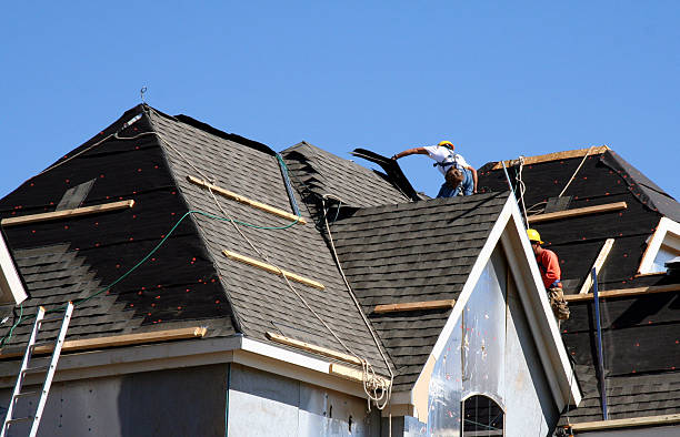 Best Storm Damage Roof Repair  in Bloomington, TX